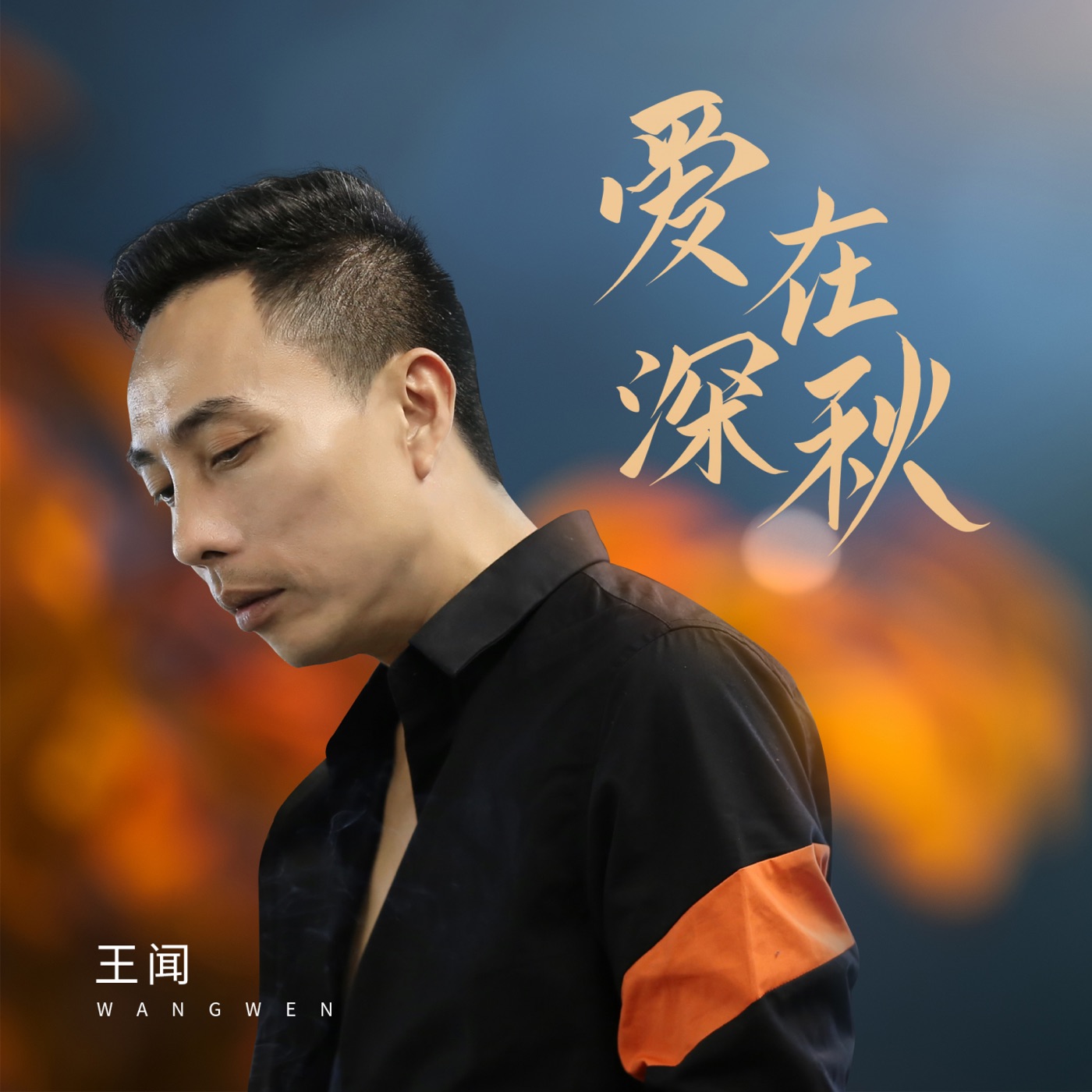 王闻音乐全集(截至到2024年08月19日)-OppsUultra音乐天地