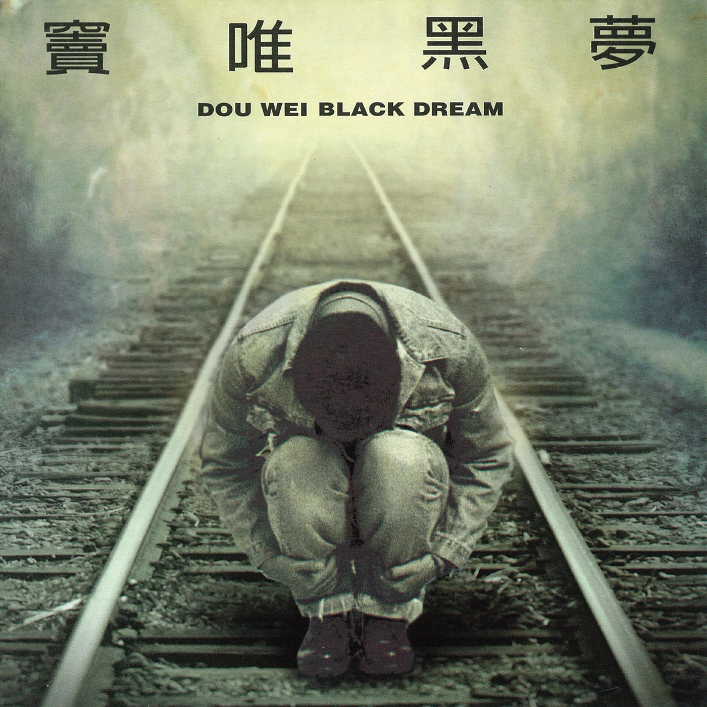 窦唯音乐全集（截至到2024年11月16日）-OppsUultra音乐天地