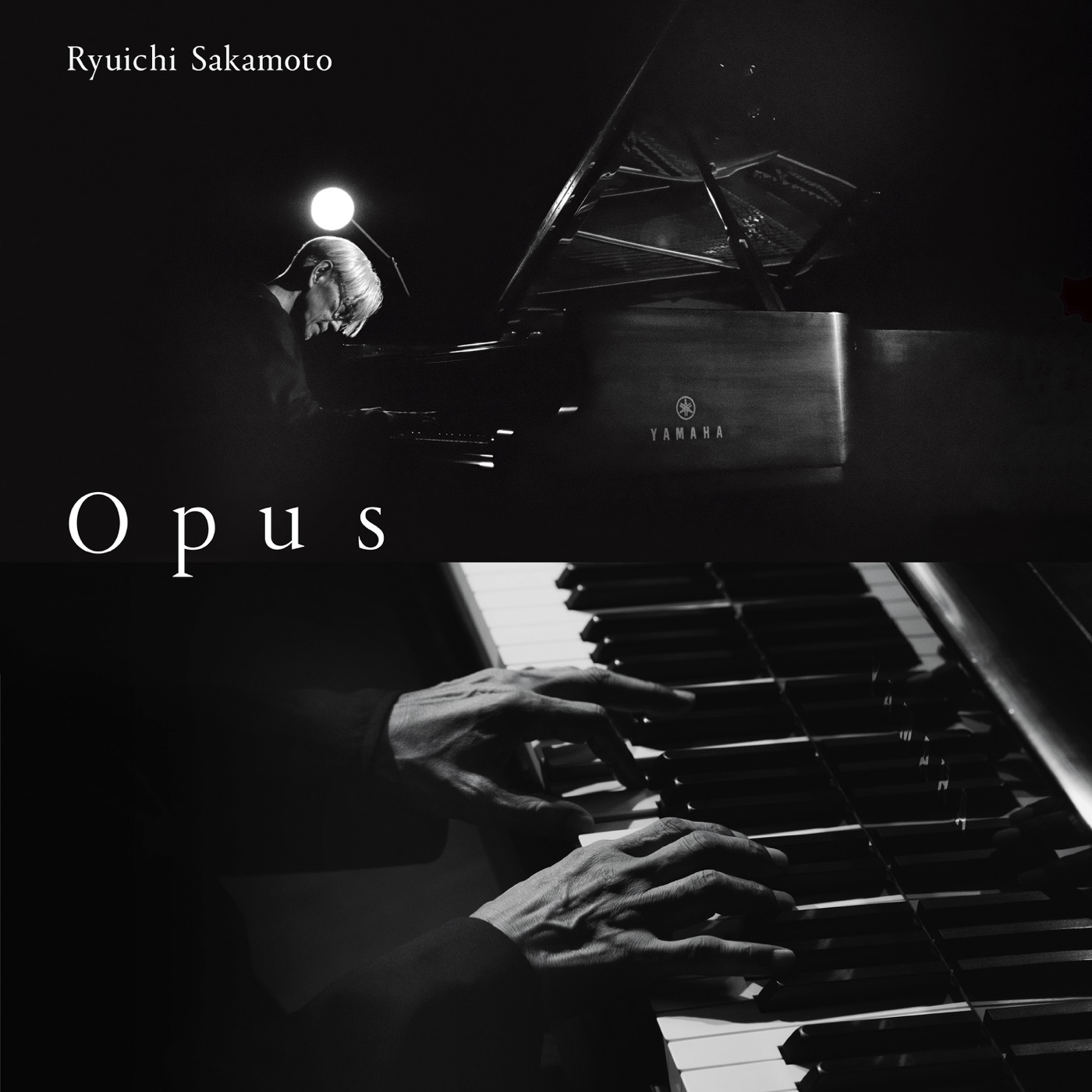 坂本龍一音乐全集（截至到2025年04月11日）-OppsUultra音乐天地