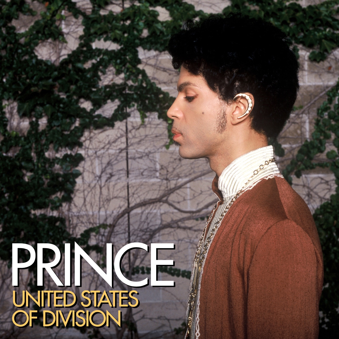 Prince全集（截至到2025年05月05日）-OppsUultra音乐天地