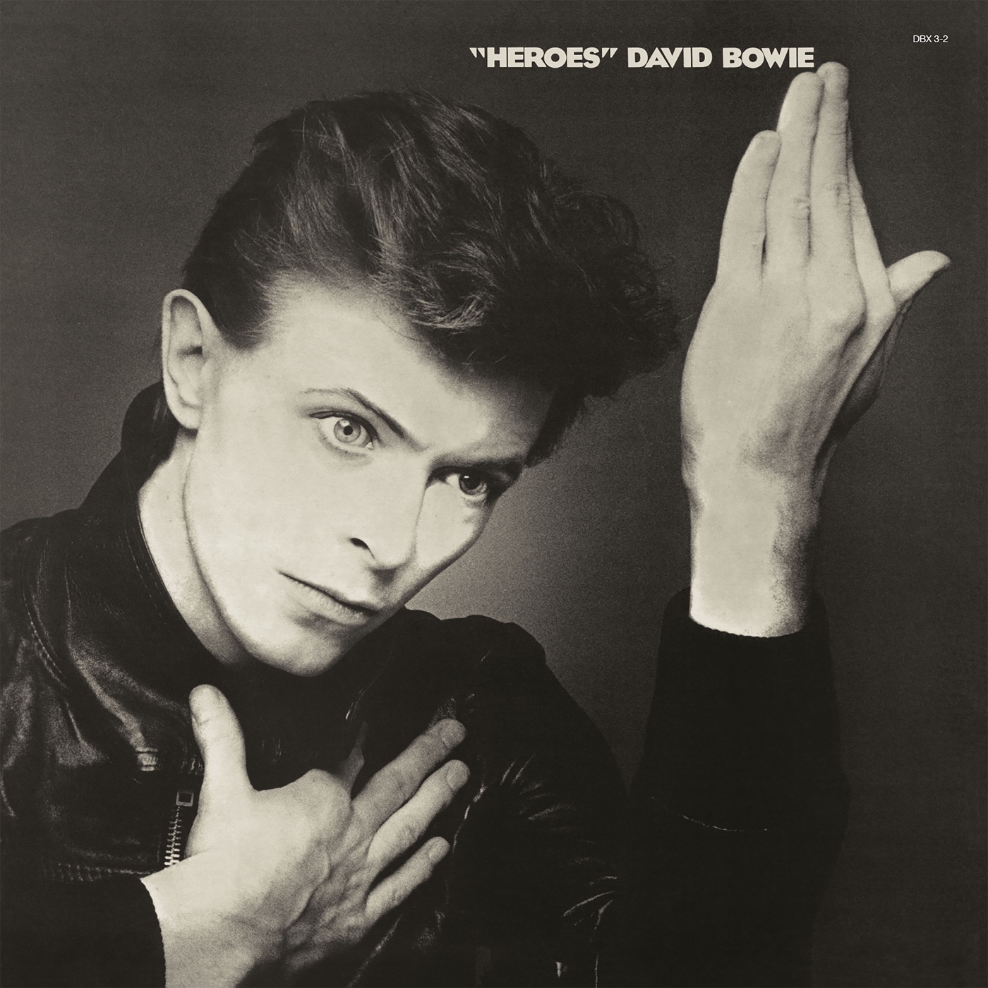 David Bowie音乐全集（截至到2025年06月18日）-OppsUultra音乐天地