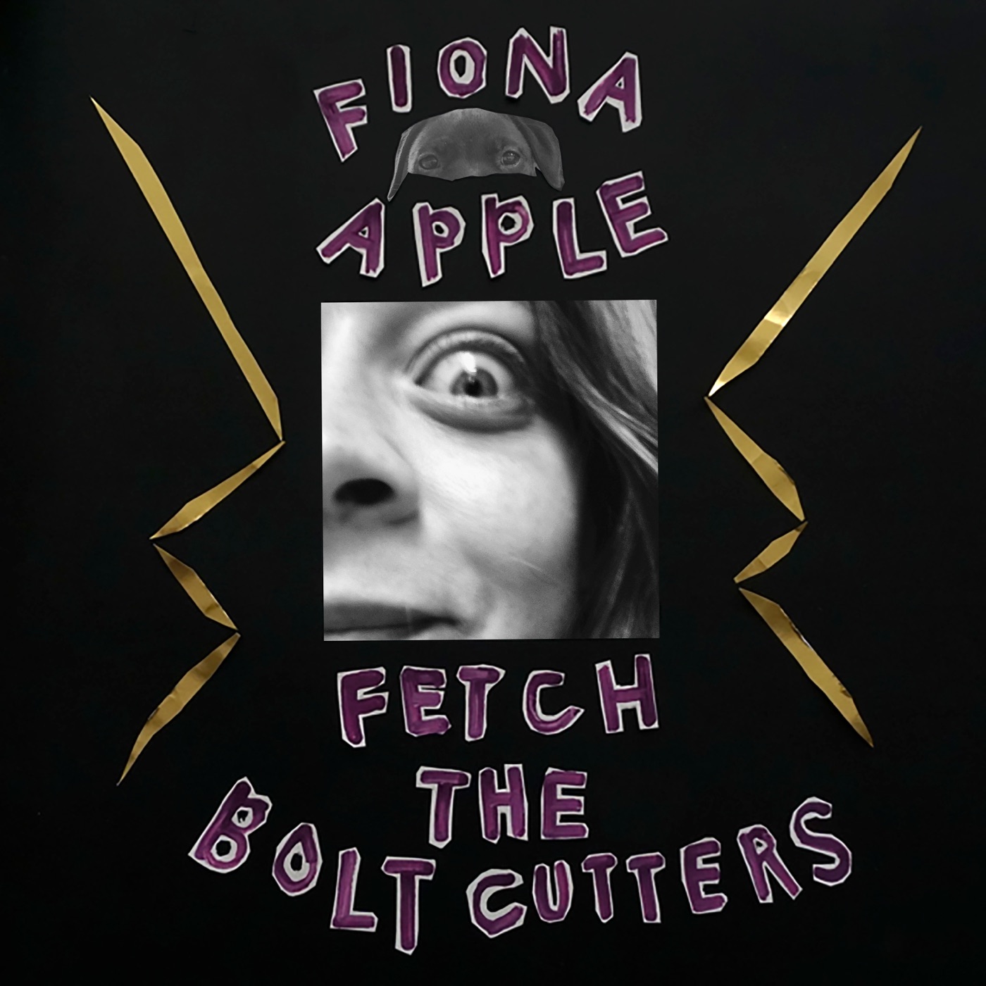 Fiona Apple音乐全集（截至到2025年08月05日）-OppsUultra音乐天地