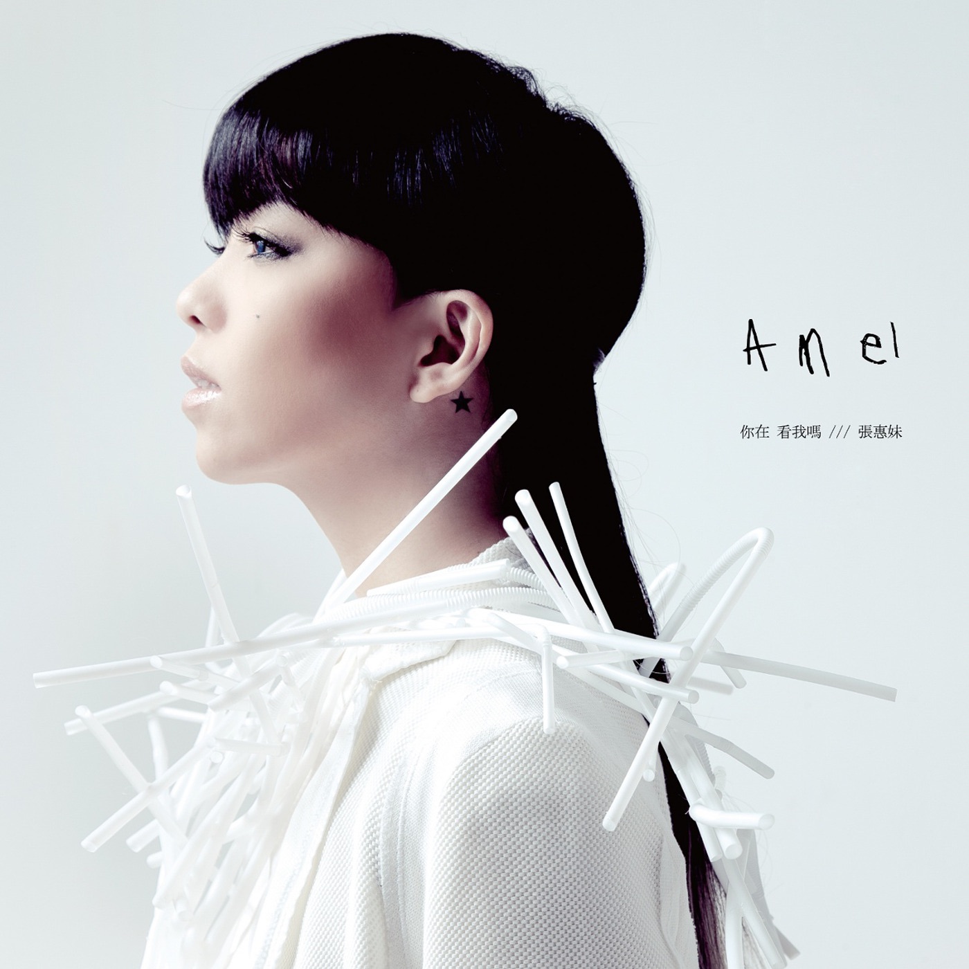 张惠妹音乐全集（截至到2025年03月30日）-OppsUultra音乐天地